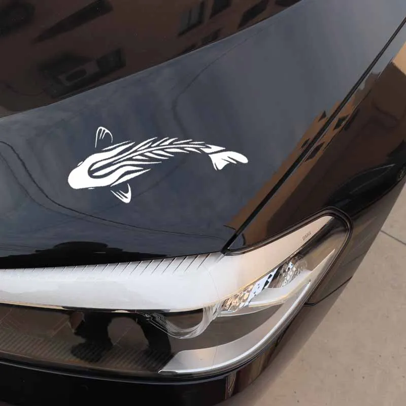 Pegatinas de coche divertidas, - Car Accessories Ebay reseña y precio